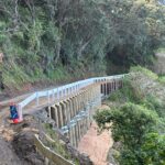 Port Jackson Road 2025